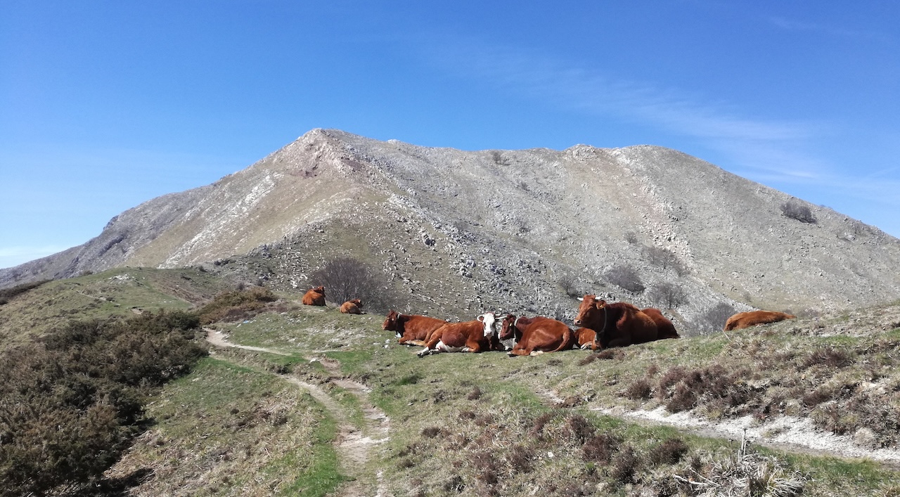 matanna mountain cown apuan alps thing to do 